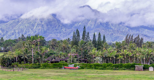 Scenic view of trees on field against sky