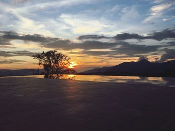 Silhouette of trees at sunset