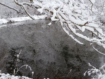 Close-up of snow on field during winter