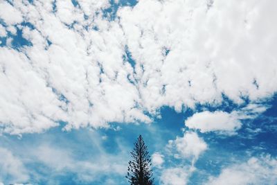 Low angle view of snow covered tree against sky