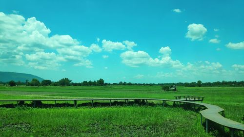 Scenic view of field against sky