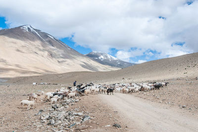 Scenic view of mountains against cloudy sky