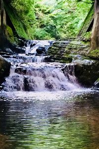 Close-up of waterfall in forest