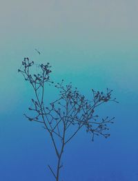 Low angle view of tree against blue sky