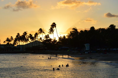 Silhouette palm trees on beach against sky at sunset