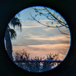 Close-up of tree against sky seen through glass window