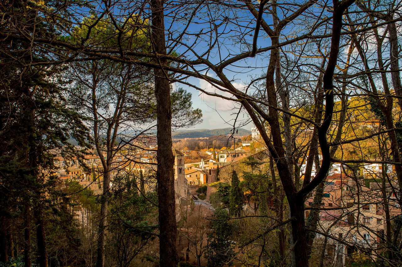 TREES AND PLANTS GROWING IN CITY DURING AUTUMN