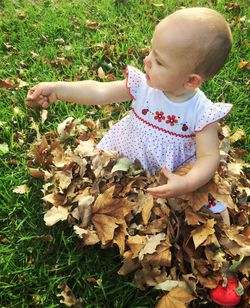 High angle view of baby girl with autumn leaves sitting on grassy field