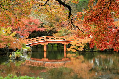 Bridge over lake amidst trees in japanese garden