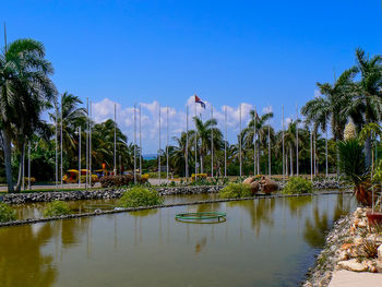 Panoramic view of palm trees by lake against blue sky