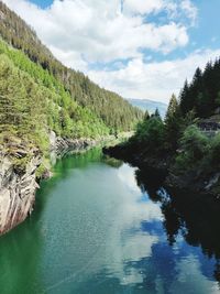 Scenic view of river amidst trees against sky