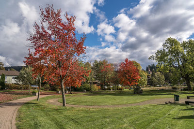 Trees in park during autumn against sky