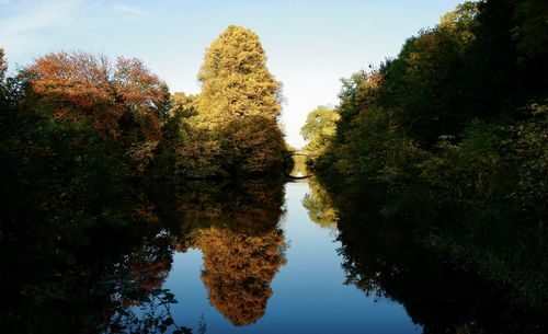 Reflection of trees in lake against sky during autumn