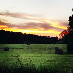 Scenic view of field against sky at sunset