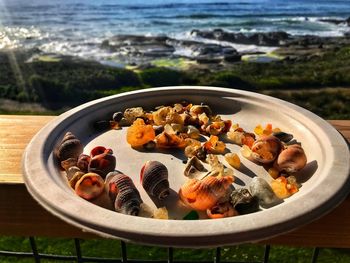 Close-up of agates found on beach with ocean background