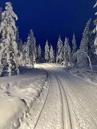 Snow covered road amidst trees against sky