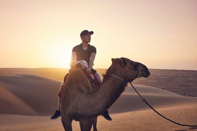Man riding camel on sand against sky during sunset