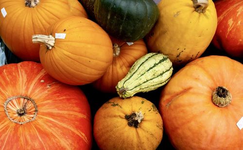 Fresh pumpkins