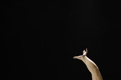 Hand against black background