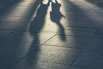 High angle view of shadow on footpath at night