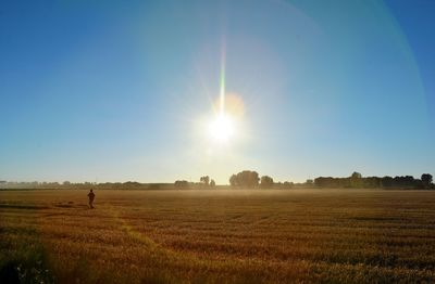 Scenic view of field against clear sky