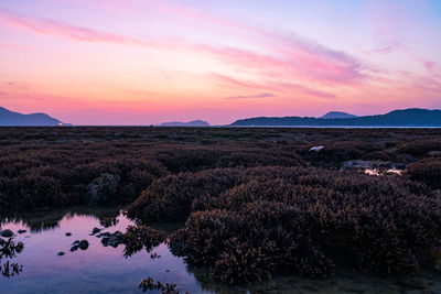 Beautiful sunset or sunrise seascape amazing cloud at sunrise light above the coral reef 