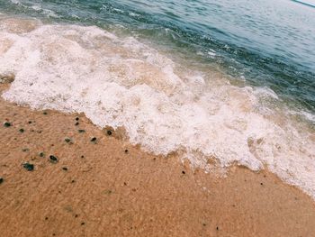 Scenic view of beach