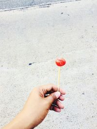 Midsection of person holding ice cream cone