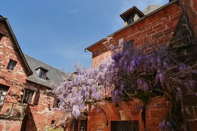 Low angle view of trees against building