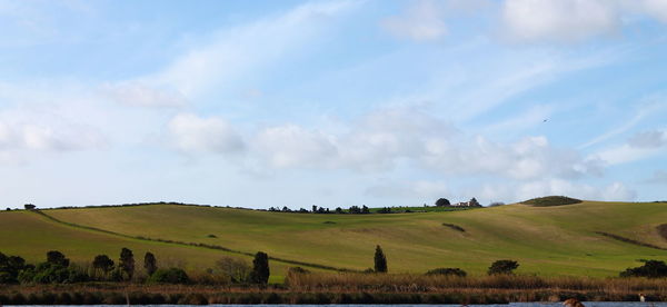 Scenic view of agricultural field against sky