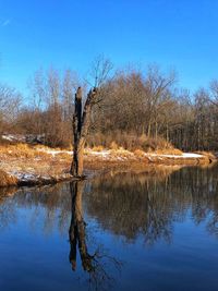 Reflection of bare trees in lake against sky