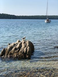 Sailboat on rock by sea against clear sky