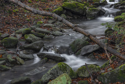 Scenic view of waterfall in forest