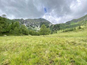 Scenic view of landscape and mountains against sky