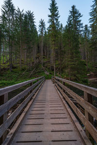 A person looks out over lake braies bridge, image of tourism scene in italy