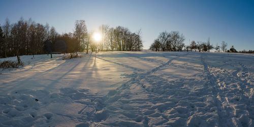 Trees on snow field against sky during winter