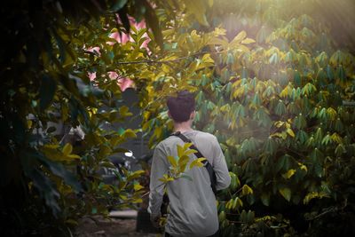 Rear view of man standing against trees