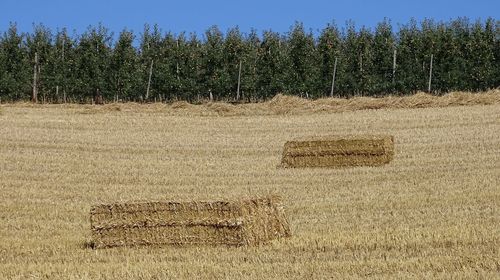 Hay bales on field against sky