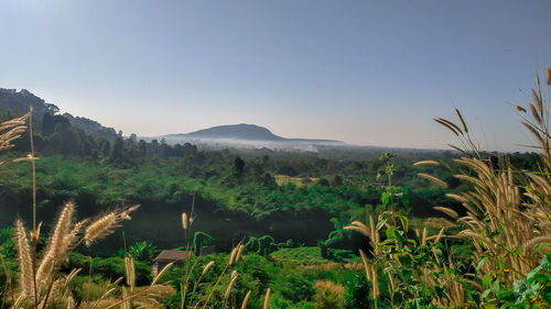 Scenic view of landscape against clear sky