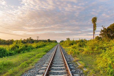 Railroad track amidst plants against sky