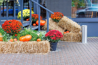 The front door of a street cafe is decorated with a  autumn composition for the halloween holiday.