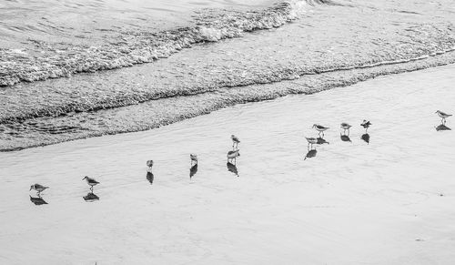 High angle view of snow covered field