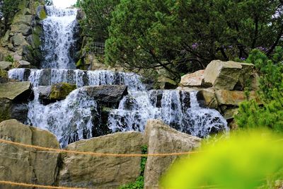 Scenic view of waterfall in forest