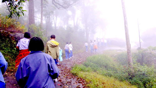 Rear view of people walking on mountain in forest