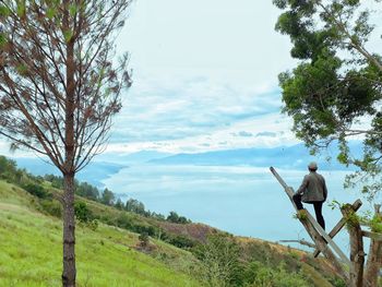 Rear view of man standing on branch against lake