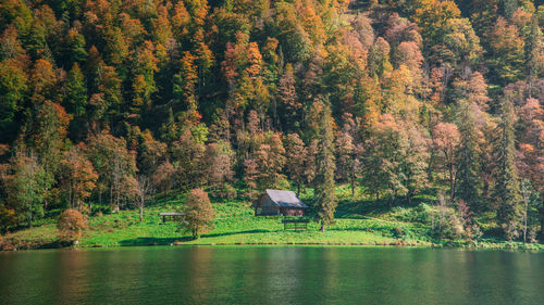 Scenic view of lake in forest during autumn