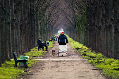 People on pathway amidst bare trees at park