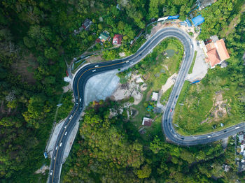 High angle view of road amidst trees