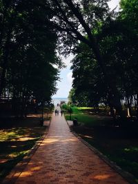 People walking on footpath in park