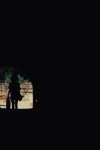 Rear view of men walking through silhouette people